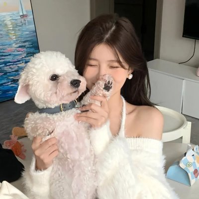 走进韩国大师